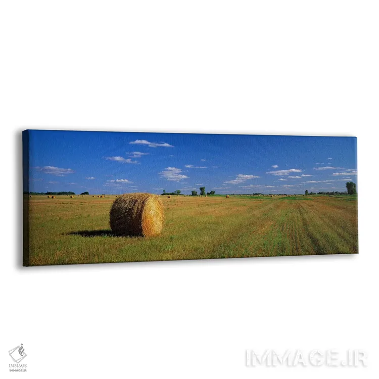 تابلو South Dakota, USA,کپه‌های علوفه، داکوتای جنوبی، آمریکا اثر پانورامیک ایمجز (استودیو عکاسی عریض) - نمای پرسپکتیو محصول
