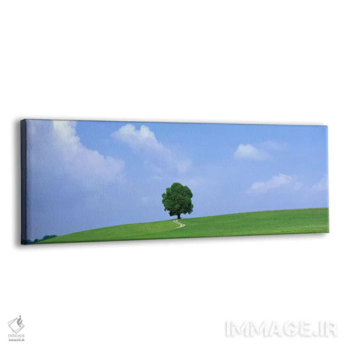تابلو درخت تنها روی تپه، سالزکامرگوت اتریش اثر پانورامیک ایمجز (استودیو عکاسی عریض) - نمای پرسپکتیو محصول