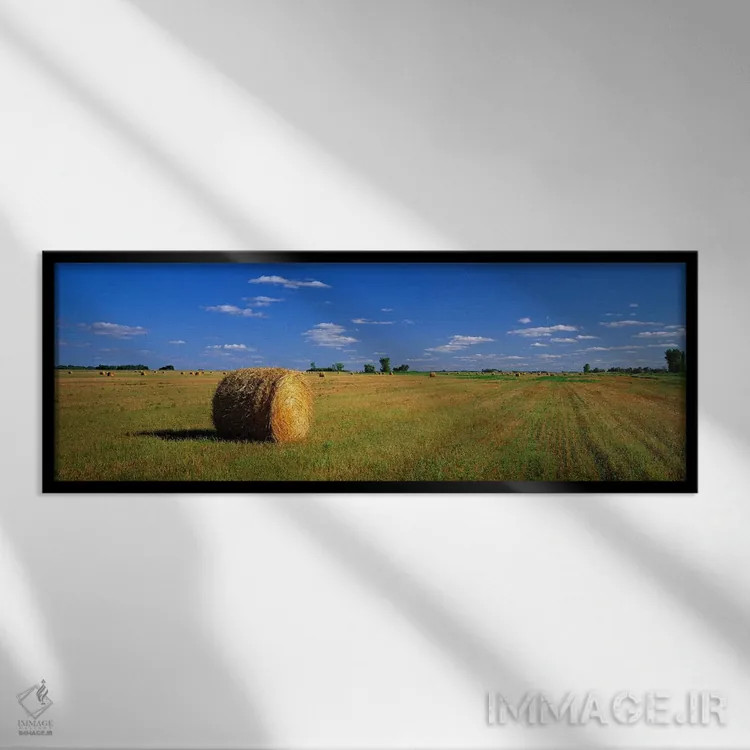 تابلو South Dakota, USA,کپههای علوفه، داکوتای جنوبی، آمریکا اثر پانورامیک ایمجز (استودیو عکاسی عریض) - نمای قابدار مشکی