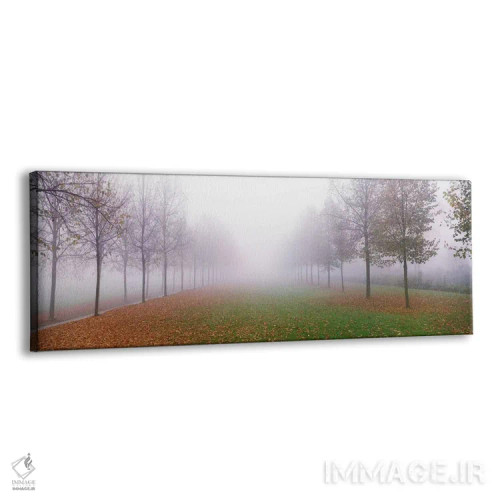 تابلو درختان در مه، شلایسهایم آلمان اثر پانورامیک ایمجز (استودیو عکاسی عریض) - نمای پرسپکتیو محصول