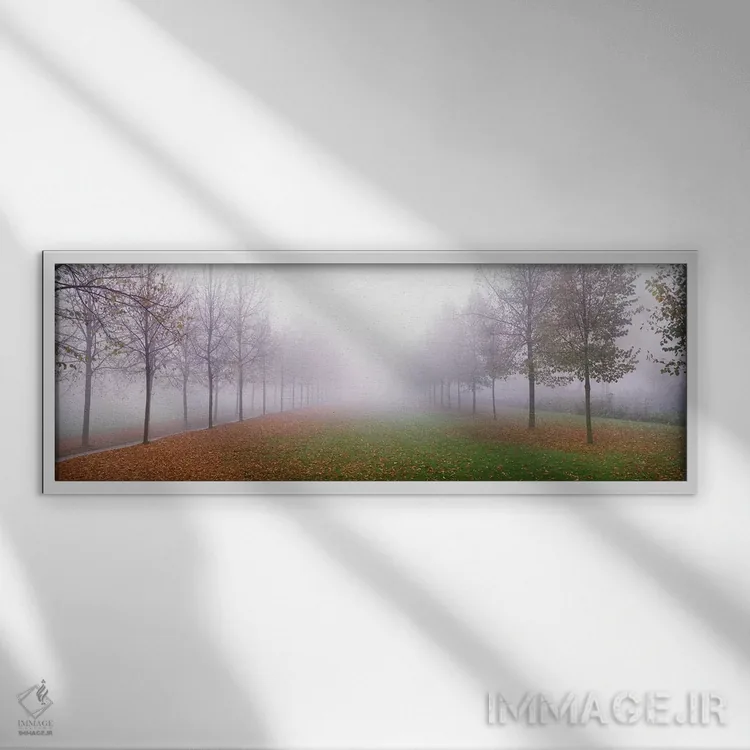 تابلو درختان در مه، شلایسهایم آلمان اثر پانورامیک ایمجز (استودیو عکاسی عریض) - نمای قابدار سفید