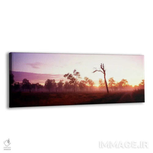 تابلو پارک ملی کاکادو، قلمروی شمالی استرالیا اثر پانورامیک ایمجز (استودیو عکاسی عریض) - نمای پرسپکتیو محصول