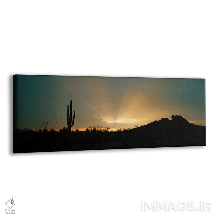 تابلو Near Phoenix, Arizona, USA,اشعه‌های آفتاب بیابان، نزدیک فینیکس، آریزونا، آمریکا اثر پانورامیک ایمجز (استودیو عکاسی عریض) - نمای پرسپکتیو محصول