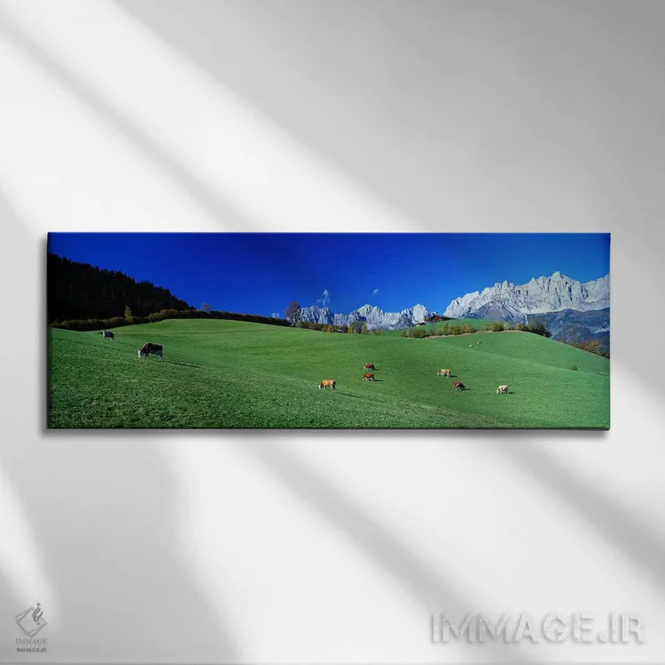 تابلو چرای گاوها در آلپ، وایلدر کایزر، گوینگ، اتریش اثر پانورامیک ایمجز (استودیو عکاسی عریض) - نمای روبهرو روی دیوار
