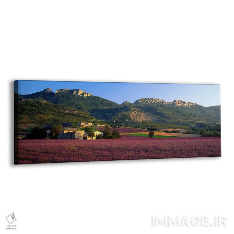 تابلو Drome, Auvergne-Rhone-Alpes, France,مزارع اسطوخودوس حومه شهر، دروم، اوورنی-رون-آلپ، فرانسه اثر پانورامیک ایمجز (استودیو عکاسی عریض) - نمای پرسپکتیو محصول