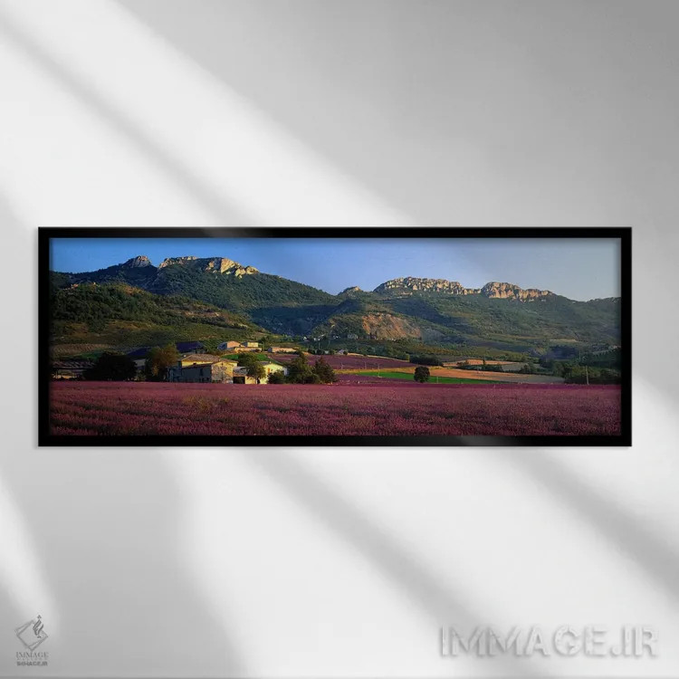 تابلو Drome, Auvergne-Rhone-Alpes, France,مزارع اسطوخودوس حومه شهر، دروم، اوورنی-رون-آلپ، فرانسه اثر پانورامیک ایمجز (استودیو عکاسی عریض) - نمای قابدار مشکی