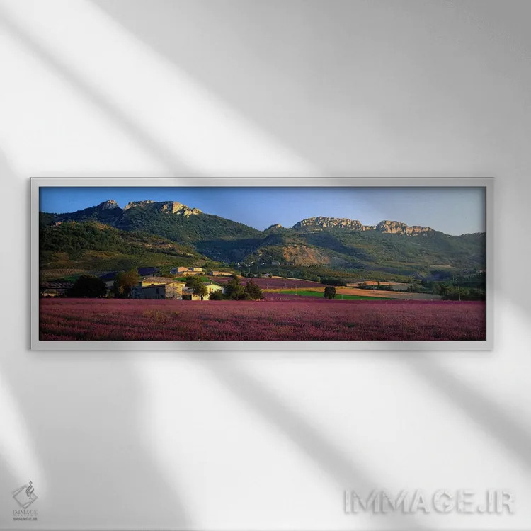 تابلو Drome, Auvergne-Rhone-Alpes, France,مزارع اسطوخودوس حومه شهر، دروم، اوورنی-رون-آلپ، فرانسه اثر پانورامیک ایمجز (استودیو عکاسی عریض) - نمای قابدار سفید