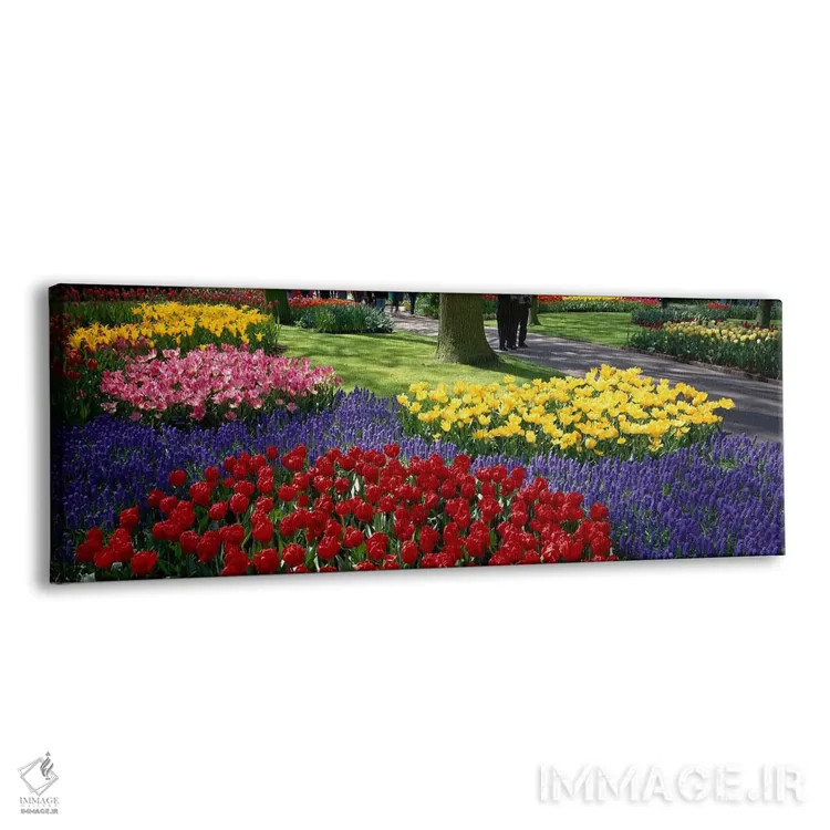 تابلو Lisse, South Holland, Kingdom Of The Netherlands,کوکنهوف ۲، لیسه، سهلند جنوبی، هلند اثر پانورامیک ایمجز (استودیو عکاسی عریض) - نمای پرسپکتیو محصول
