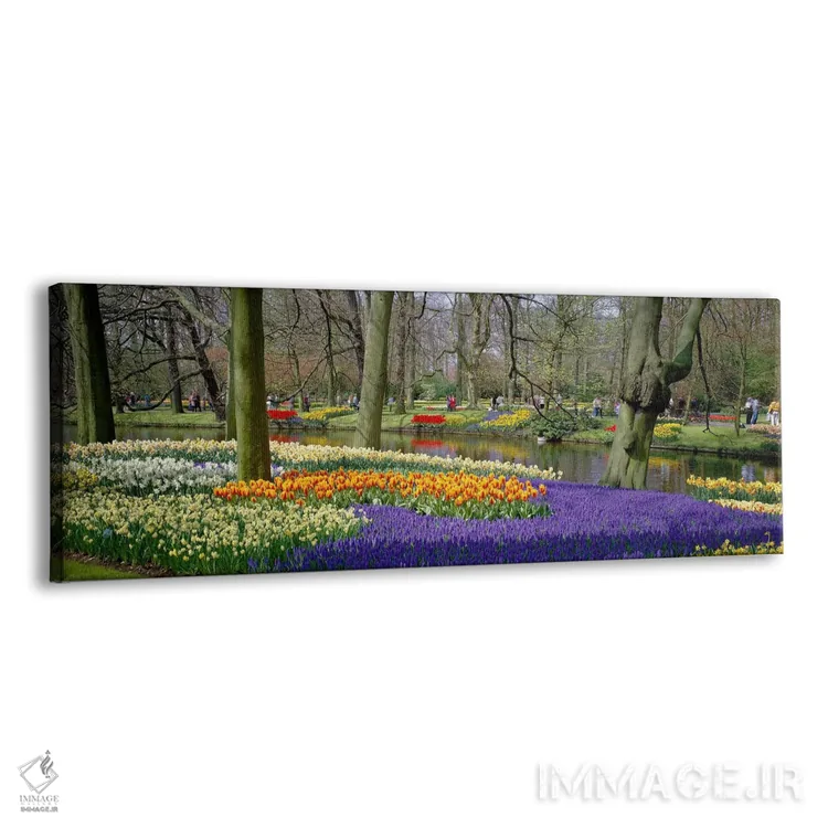 تابلو باغ کوکنهوف، لیسه، هلند اثر پانورامیک ایمجز (استودیو عکاسی عریض) - نمای پرسپکتیو محصول