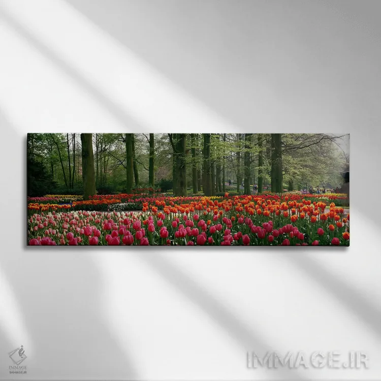 تابلو Lisse, South Holland, Kingdom Of The Netherlands,کوکنهوف ۱، لیسه، سهلند جنوبی، هلند اثر پانورامیک ایمجز (استودیو عکاسی عریض) - نمای روبهرو روی دیوار