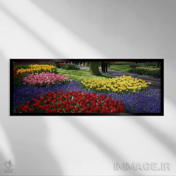 تابلو Lisse, South Holland, Kingdom Of The Netherlands,کوکنهوف ۲، لیسه، سهلند جنوبی، هلند اثر پانورامیک ایمجز (استودیو عکاسی عریض) - نمای قابدار مشکی