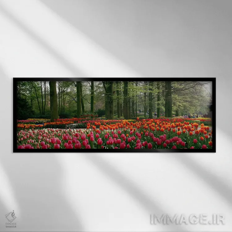 تابلو Lisse, South Holland, Kingdom Of The Netherlands,کوکنهوف ۱، لیسه، سهلند جنوبی، هلند اثر پانورامیک ایمجز (استودیو عکاسی عریض) - نمای قابدار مشکی