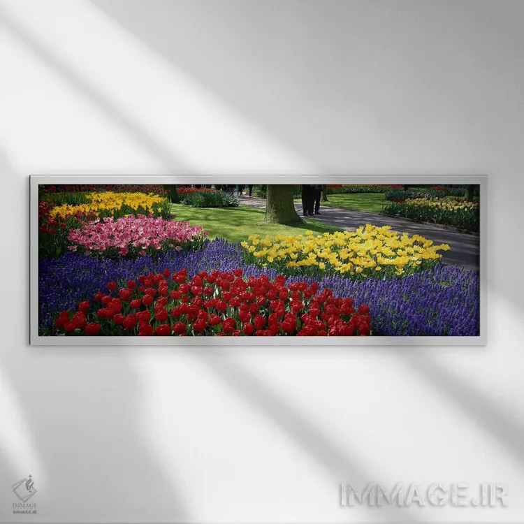 تابلو Lisse, South Holland, Kingdom Of The Netherlands,کوکنهوف ۲، لیسه، سهلند جنوبی، هلند اثر پانورامیک ایمجز (استودیو عکاسی عریض) - نمای قابدار سفید