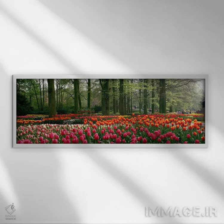 تابلو Lisse, South Holland, Kingdom Of The Netherlands,کوکنهوف ۱، لیسه، سهلند جنوبی، هلند اثر پانورامیک ایمجز (استودیو عکاسی عریض) - نمای قابدار سفید