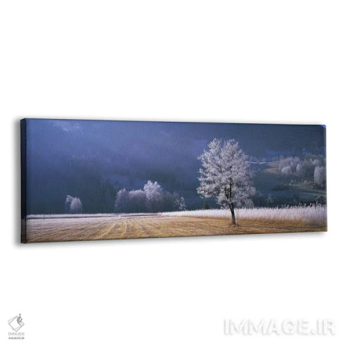 تابلو Tyrol, Austria,صبح یخبندان در روستا، تیرول، اتریش اثر پانورامیک ایمجز (استودیو عکاسی عریض) - نمای پرسپکتیو محصول