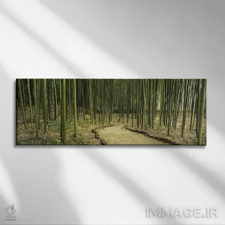 تابلو Kyoto, Japan,جنگل بامبو، کیوتو، ژاپن اثر پانورامیک ایمجز (استودیو عکاسی عریض) - نمای روبهرو روی دیوار