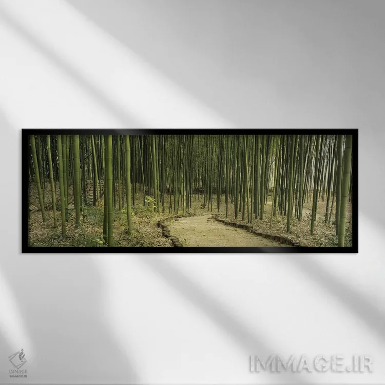 تابلو Kyoto, Japan,جنگل بامبو، کیوتو، ژاپن اثر پانورامیک ایمجز (استودیو عکاسی عریض) - نمای قابدار مشکی