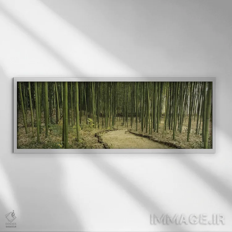 تابلو Kyoto, Japan,جنگل بامبو، کیوتو، ژاپن اثر پانورامیک ایمجز (استودیو عکاسی عریض) - نمای قابدار سفید