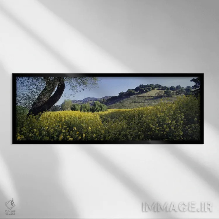 تابلو Napa Valley, California, USA,گیاهان خردل در مزرعهای، دره ناپا، کالیفرنیا، ایالات متحده آمریکا اثر پانورامیک ایمجز (استودیو عکاسی عریض) - نمای قابدار مشکی