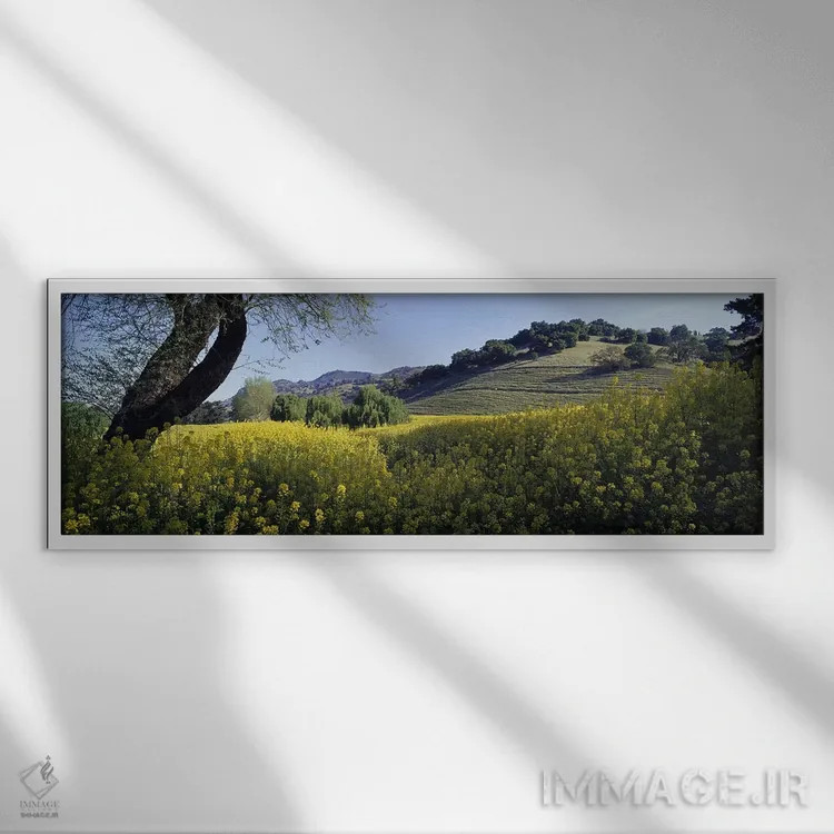 تابلو Napa Valley, California, USA,گیاهان خردل در مزرعهای، دره ناپا، کالیفرنیا، ایالات متحده آمریکا اثر پانورامیک ایمجز (استودیو عکاسی عریض) - نمای قابدار سفید