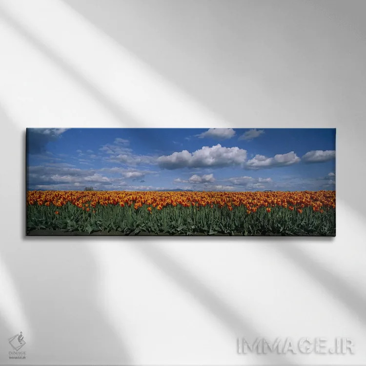 تابلو Skagit Valley, Washington, USA,مزرعه لاله، دره اسکاگیت، واشنگتن، ایالات متحده آمریکا اثر پانورامیک ایمجز (استودیو عکاسی عریض) - نمای روبهرو روی دیوار