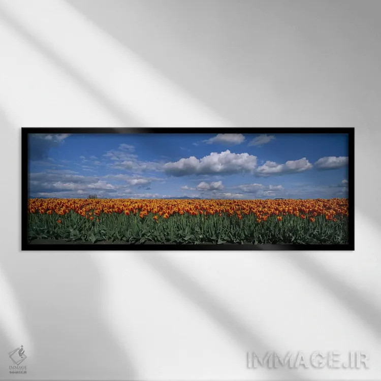 تابلو Skagit Valley, Washington, USA,مزرعه لاله، دره اسکاگیت، واشنگتن، ایالات متحده آمریکا اثر پانورامیک ایمجز (استودیو عکاسی عریض) - نمای قابدار مشکی