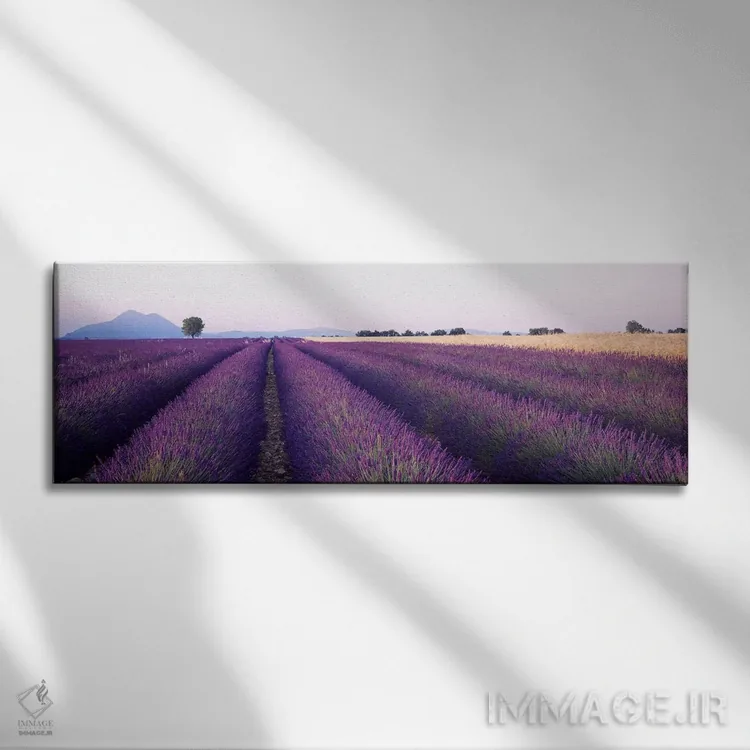 تابلو Valensole, Provence-Alpes-Cote d'Azur, France,مزرعه اسطوخودوس، والنسول، پرووانس-آلپ-کوت دازور، فرانسه اثر پانورامیک ایمجز (استودیو عکاسی عریض) - نمای روبهرو روی دیوار