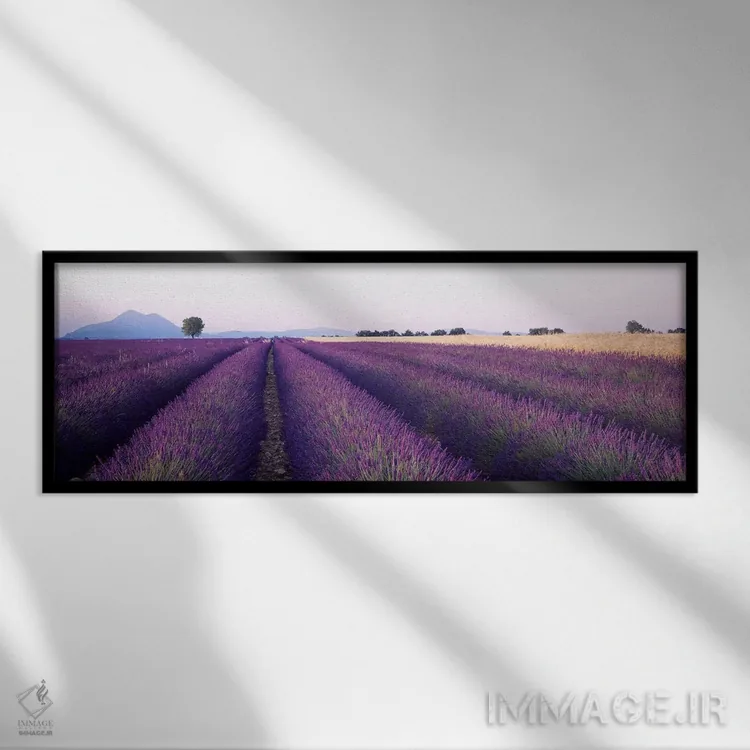 تابلو Valensole, Provence-Alpes-Cote d'Azur, France,مزرعه اسطوخودوس، والنسول، پرووانس-آلپ-کوت دازور، فرانسه اثر پانورامیک ایمجز (استودیو عکاسی عریض) - نمای قابدار مشکی