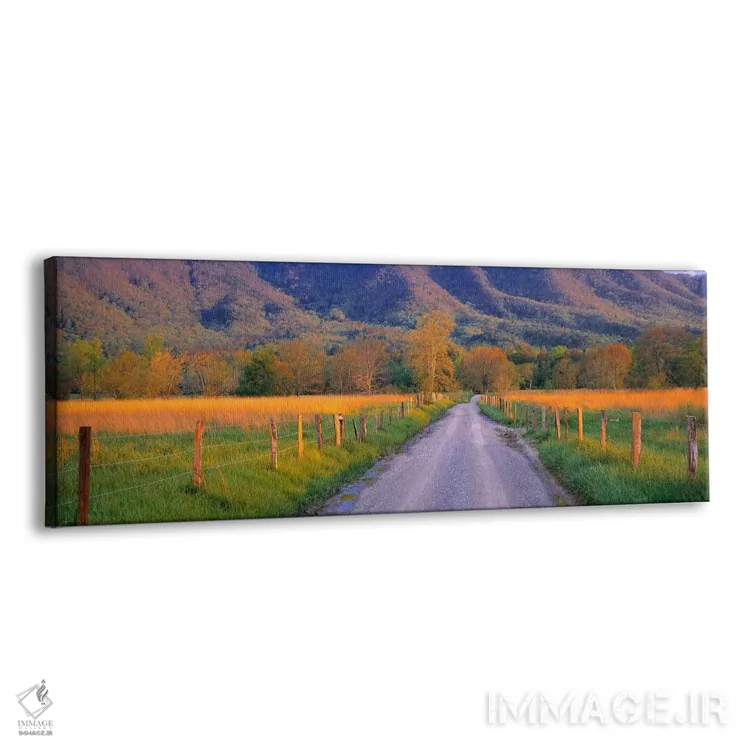 تابلو Cades Cove, Great Smoky Mountains National Park, Tennessee, USA,جاده در هنگام غروب، کیدز کوو، پارک ملی کوهستانهای اسموکی، تنسی، ایالات متحده آمریکا اثر پانورامیک ایمجز (استودیو عکاسی عریض) - نمای پرسپکتیو محصول