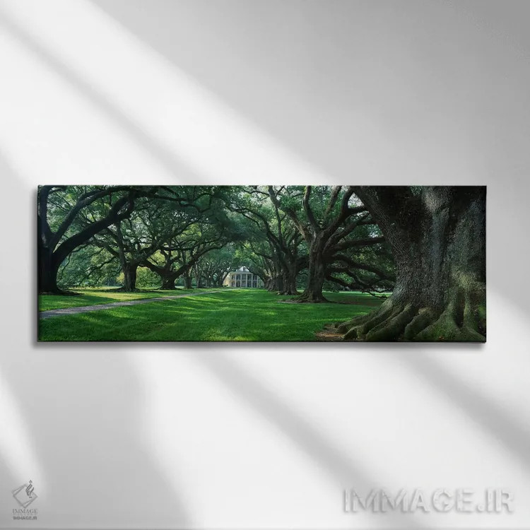 تابلو Louisiana, New Orleans, Oak Alley Plantation, plantation home through alley of oak trees,ایالات متحده آمریکا، لوئیزیانا، نیواورلئان، مزرعه اوک الی، خانه مزارع در مسیر درختان بلوط اثر پانورامیک ایمجز (استودیو عکاسی عریض) - نمای روبهرو روی دیوار