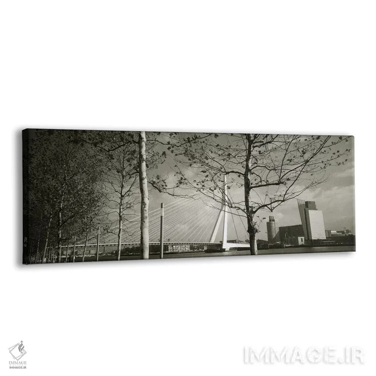 تابلو Rotterdam, South Holland, Netherlands,پل اراسموس از میان شاخههای درخت در عکسی سیاهوسفید، روتردام، هلند جنوبی، هلند اثر پانورامیک ایمجز (استودیو عکاسی عریض) - نمای پرسپکتیو محصول