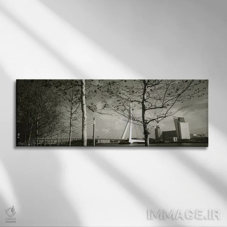 تابلو Rotterdam, South Holland, Netherlands,پل اراسموس از میان شاخههای درخت در عکسی سیاهوسفید، روتردام، هلند جنوبی، هلند اثر پانورامیک ایمجز (استودیو عکاسی عریض) - نمای روبهرو روی دیوار