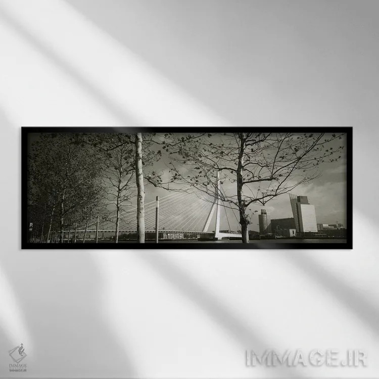 تابلو Rotterdam, South Holland, Netherlands,پل اراسموس از میان شاخههای درخت در عکسی سیاهوسفید، روتردام، هلند جنوبی، هلند اثر پانورامیک ایمجز (استودیو عکاسی عریض) - نمای قابدار مشکی