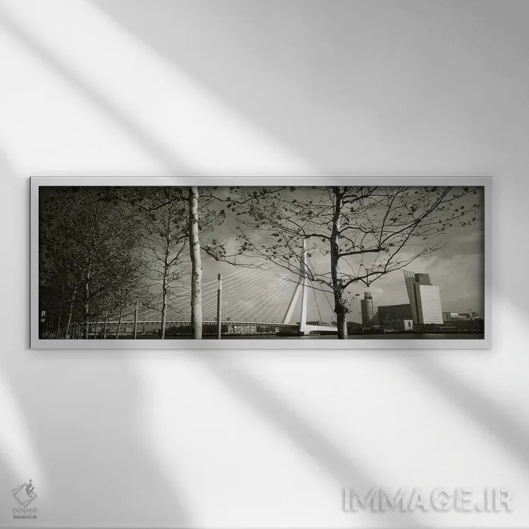 تابلو Rotterdam, South Holland, Netherlands,پل اراسموس از میان شاخههای درخت در عکسی سیاهوسفید، روتردام، هلند جنوبی، هلند اثر پانورامیک ایمجز (استودیو عکاسی عریض) - نمای قابدار سفید