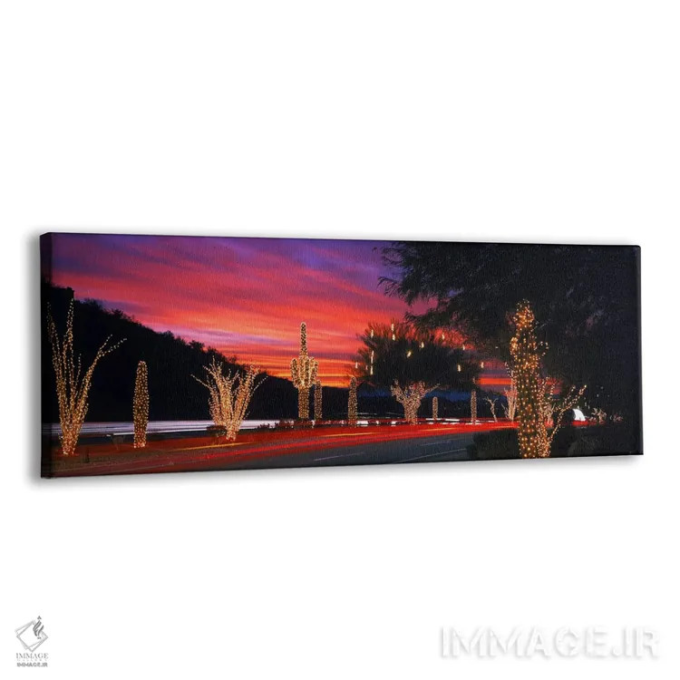 تابلو Phoenix, Arizona, USA,چراغهای کریسمس روی کاکتوس و درخت کنار جاده، فینیکس، آریزونا، ایالات متحده اثر پانورامیک ایمجز (استودیو عکاسی عریض) - نمای پرسپکتیو محصول