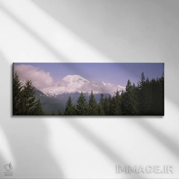 تابلو کوه رینیر، پارک ملی کوه رینیر، واشنگتن اثر پانورامیک ایمجز (استودیو عکاسی عریض) - نمای روبهرو روی دیوار