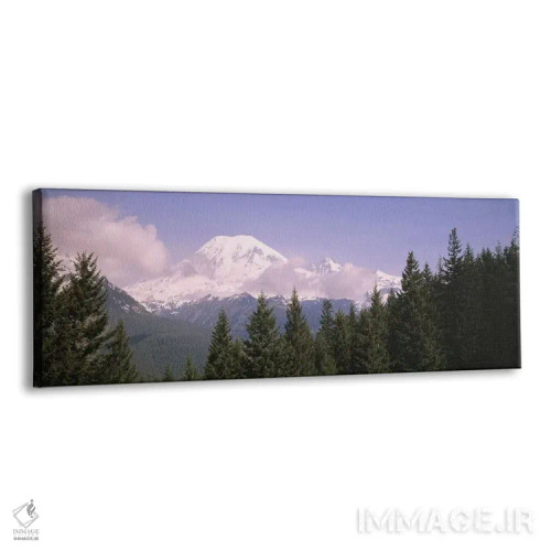 تابلو کوه رینیر، پارک ملی کوه رینیر، واشنگتن اثر پانورامیک ایمجز (استودیو عکاسی عریض) - نمای پرسپکتیو محصول