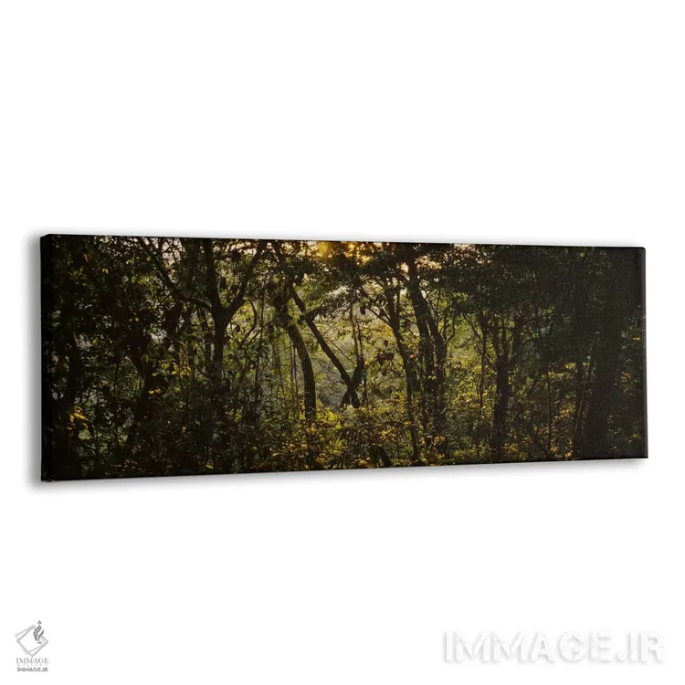 تابلو Monteverde Cloud Forest, Costa Rica,غروب آفتاب بر فراز جنگل، جنگل ابری مونتهورد، کاستاریکا اثر پانورامیک ایمجز (استودیو عکاسی عریض) - نمای پرسپکتیو محصول