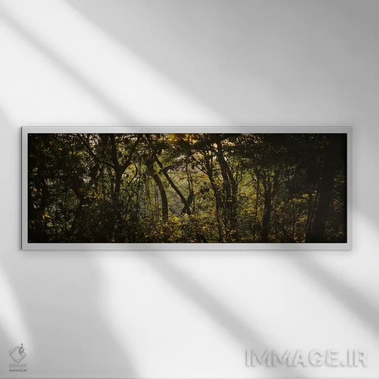 تابلو Monteverde Cloud Forest, Costa Rica,غروب آفتاب بر فراز جنگل، جنگل ابری مونتهورد، کاستاریکا اثر پانورامیک ایمجز (استودیو عکاسی عریض) - نمای قابدار سفید