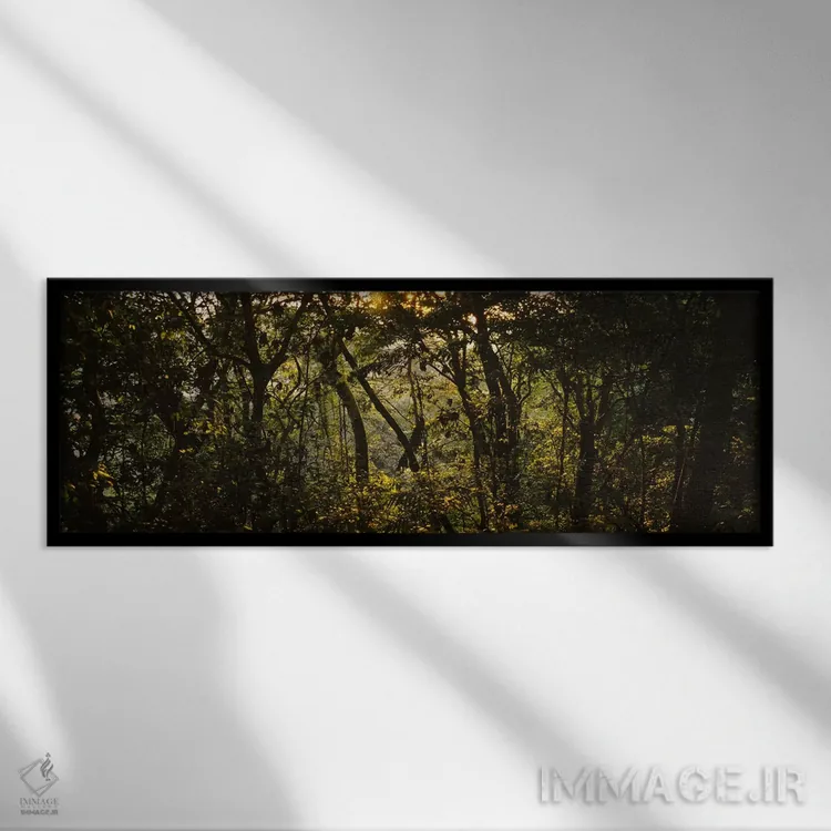 تابلو Monteverde Cloud Forest, Costa Rica,غروب آفتاب بر فراز جنگل، جنگل ابری مونتهورد، کاستاریکا اثر پانورامیک ایمجز (استودیو عکاسی عریض) - نمای قابدار مشکی