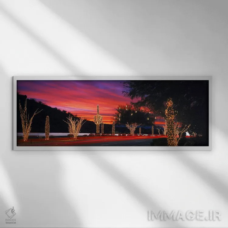 تابلو Phoenix, Arizona, USA,چراغهای کریسمس روی کاکتوس و درخت کنار جاده، فینیکس، آریزونا، ایالات متحده اثر پانورامیک ایمجز (استودیو عکاسی عریض) - نمای قابدار سفید