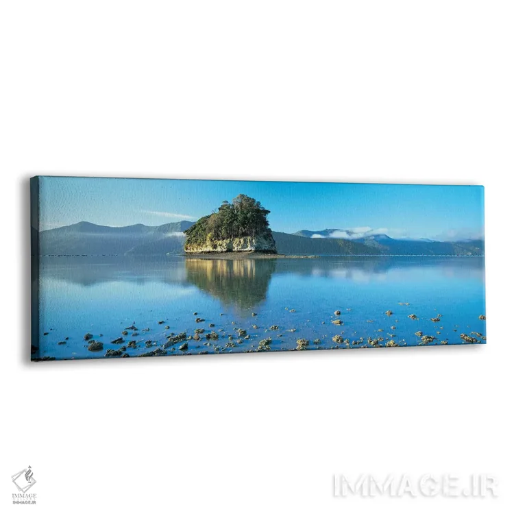 تابلو Marlborough Sounds, South Island, New Zealand,جزیره جنگلی، صداهای مارلبرو، جزیره جنوبی، نیوزیلند اثر پانورامیک ایمجز (استودیو عکاسی عریض) - نمای پرسپکتیو محصول