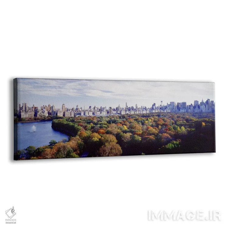 تابلو Manhattan, New York City, New York State, USA,ساختمانهای شهری، سنترالپارک، منهتن، نیویورک، ایالت نیویورک، آمریکا اثر پانورامیک ایمجز (استودیو عکاسی عریض) - نمای پرسپکتیو محصول