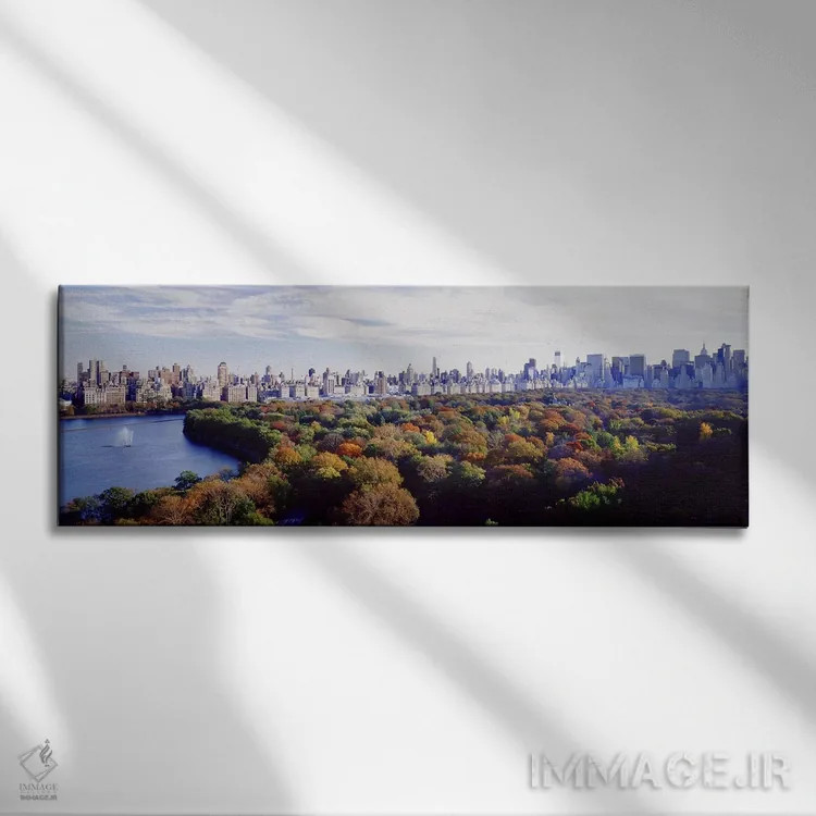 تابلو Manhattan, New York City, New York State, USA,ساختمانهای شهری، سنترالپارک، منهتن، نیویورک، ایالت نیویورک، آمریکا اثر پانورامیک ایمجز (استودیو عکاسی عریض) - نمای روبهرو روی دیوار