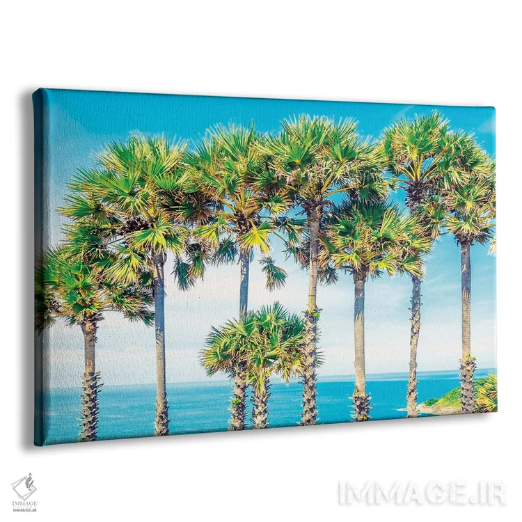 تابلو منظرهٔ پوکت اثر مانجیک پیکچرز (استودیو عکاسی یا فیلمسازی) - نمای پرسپکتیو محصول