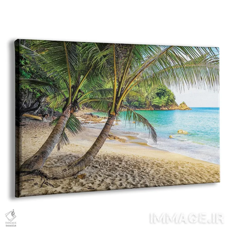 تابلو ساحل بانانا اثر مانجیک پیکچرز (استودیو عکاسی یا فیلمسازی) - نمای پرسپکتیو محصول