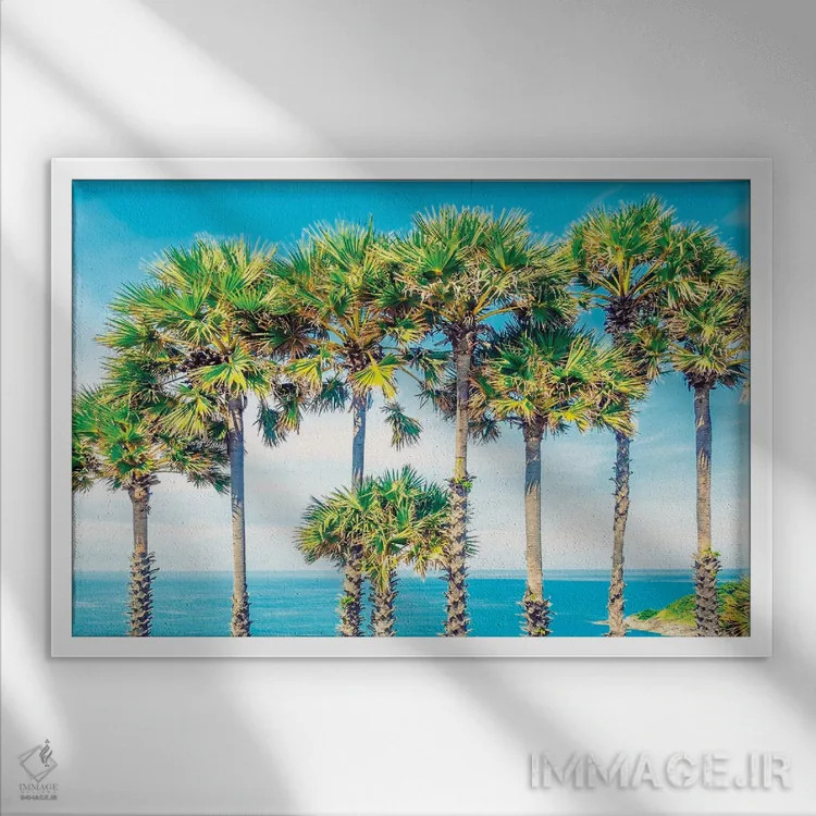 تابلو منظرهٔ پوکت اثر مانجیک پیکچرز (استودیو عکاسی یا فیلمسازی) - نمای قابدار سفید