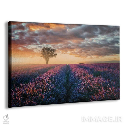 تابلو آخرین نورها اثر مانجیک پیکچرز (استودیو عکاسی یا فیلمسازی) - نمای پرسپکتیو محصول