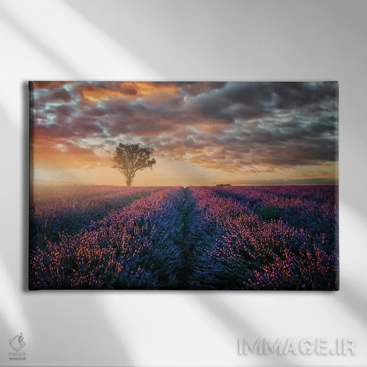 تابلو آخرین نورها اثر مانجیک پیکچرز (استودیو عکاسی یا فیلمسازی) - نمای روبهرو روی دیوار