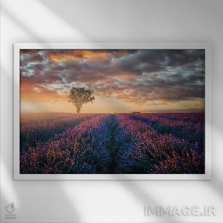 تابلو آخرین نورها اثر مانجیک پیکچرز (استودیو عکاسی یا فیلمسازی) - نمای قابدار سفید